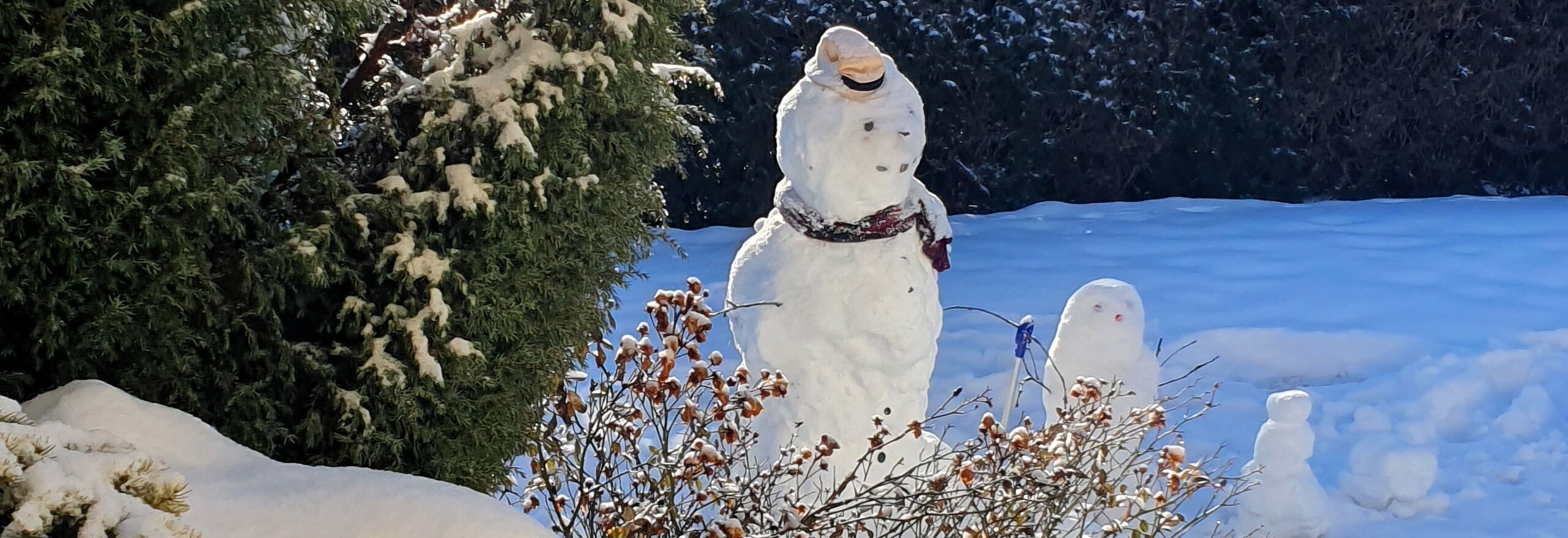 Schneemann